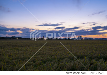 Hojobeol Siheung-si, Gyeonggi-do Hojobeol Siheung-si, Gyeonggi-do 70351576
