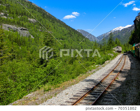 Scenery along the Alaska White Pass & Yukon Railroad deck in June Scenery along the Alaska White Pass & Yukon Railroad deck in June 70351802