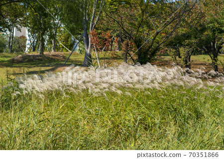 安山市安山湖公園，京畿道 70351866