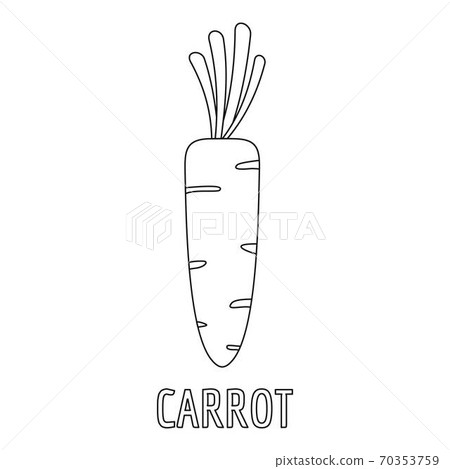 Carrot icon, outline style. Carrot icon, outline style. 70353759