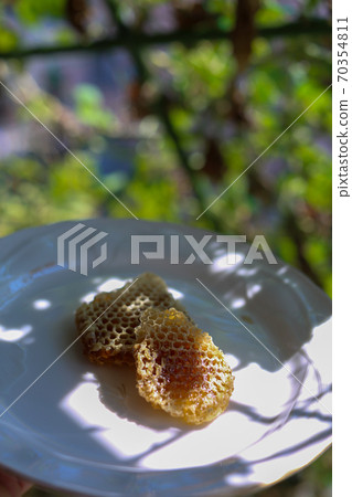 Honeycomb Nest Mitsu Com Honey 70354811