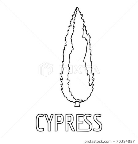 Cypress icon, outline style. 70354887