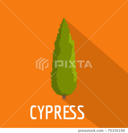 Cypress tree icon, flat style Cypress tree icon, flat style 70356198