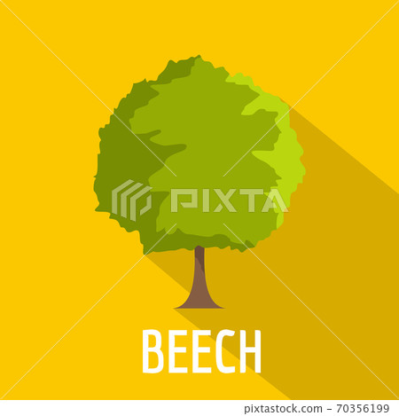 Beech tree icon, flat style Beech tree icon, flat style 70356199