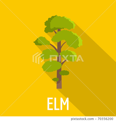 Elm tree icon, flat style Elm tree icon, flat style 70356200
