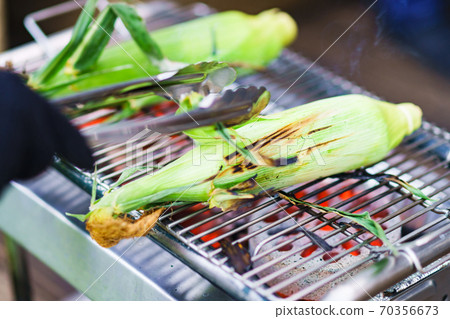 Baking corn on the BBQ stove [Outdoor image] 70356673