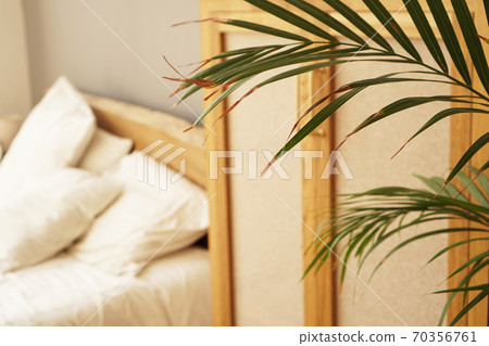 Living space or hotel room in a Scandinavian style. Green plant 70356761