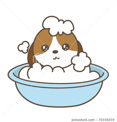 Dog trimming shampoo Dog trimming shampoo 70356859