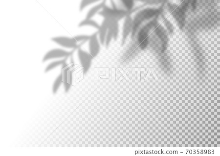 Vector illustration of realistic shadow overlay effect. Blurred transparent soft light shadow of tree branches, leaves and foliage. Contemporary mockup background for product presentation Vector illustration of realistic shadow overlay effect. Blurred transparent soft light shadow of tree branches, leaves and foliage. Contemporary mockup background for product presentation 70358983