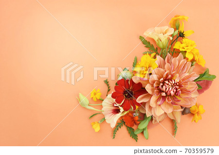 Delicate blossoming roses and flowers, blooming festive fall frame background, autumn bouquet floral card, toned Delicate blossoming roses and flowers, blooming festive fall frame background, autumn bouquet floral card, toned 70359579