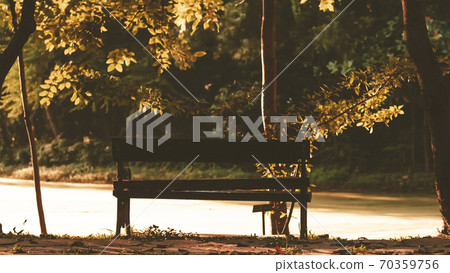 Background of city park in spring with trees, bushes and bench.island and the lake Background of city park in spring with trees, bushes and bench.island and the lake 70359756