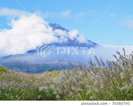 Autumn in Gotemba, Shizuoka Prefecture, with Mt. Fuji and Susukino Autumn in Gotemba, Shizuoka Prefecture, with Mt. Fuji and Susukino 70360793