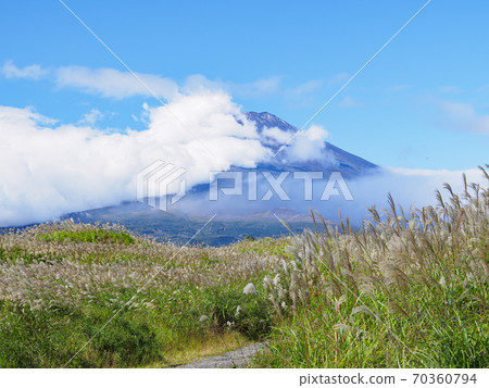 靜岡縣御殿場的秋天，富士山和薄野山 70360794