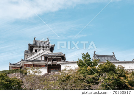 Fukuchiyama Castle Fukuchiyama Castle 70360817