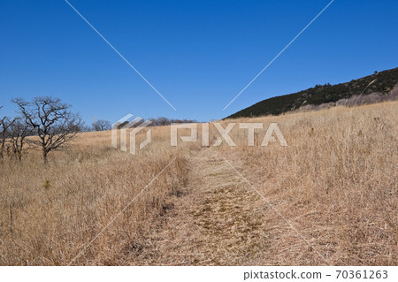 Kurinodake mountain trail in Kurinodake recreation village 70361263