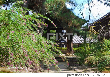 唐朝的鐘樓和Ha花 唐朝的鐘樓和Ha花 70361646