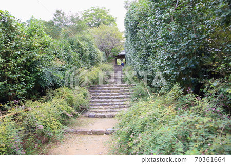 Hagi no Hana Shirakuji 70361664