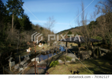 Tottori four seasons walk winter forest of encounters 70362127