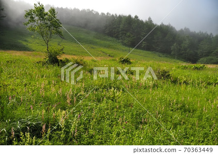 Irigasa Mountain Irigasa Mountain 70363449