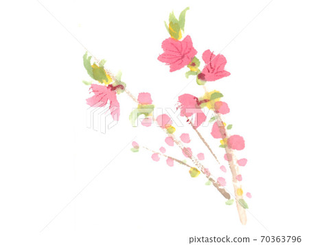  Peach blossoms 70363796