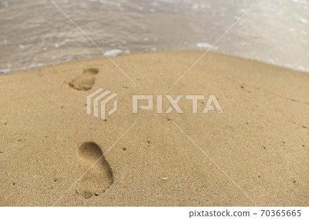 Beach 70365665