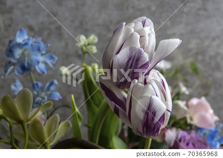 Spring flower basket 70365968