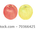 兩個蘋果 70366425