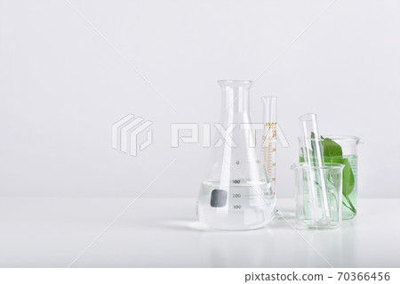 Natural organic extraction and green herbal leaves, Scientific glassware in laboratory. 70366456