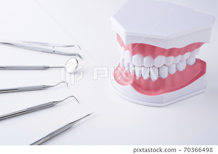 Dental instruments and oral models on a white background 70366498