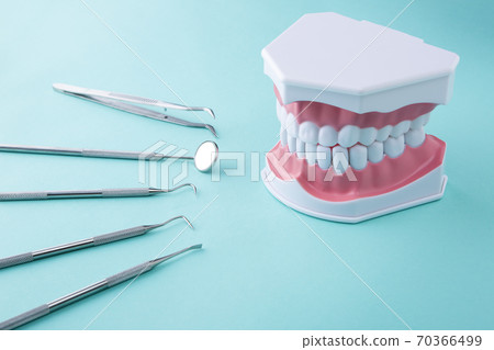 Dental instruments and oral models on a green background 70366499