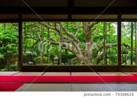 Kyoto Hosen-in Temple 70366626