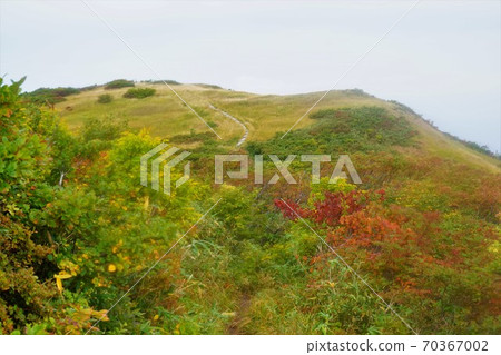 八岳的Aoundake草地和木棧道 70367002