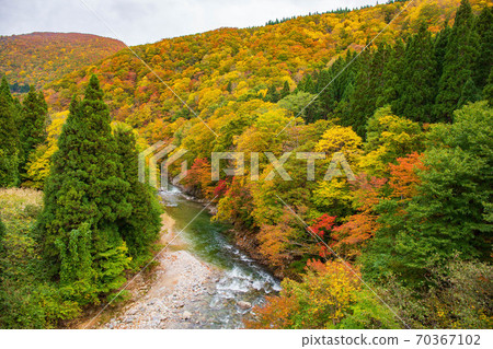 Autumn in Akita Yuzawa, Oyasukyo in autumn colors Autumn in Akita Yuzawa, Oyasukyo in autumn colors 70367102