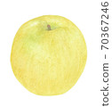 一蘋果黃 70367246