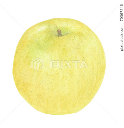 One apple yellow One apple yellow 70367246