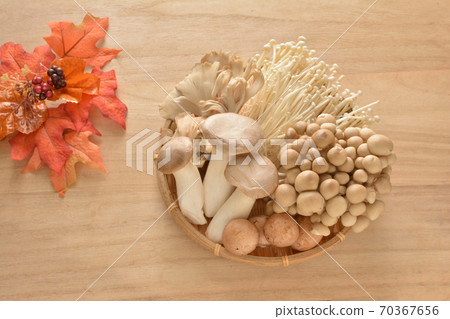 5種蘑菇 5種蘑菇 70367656
