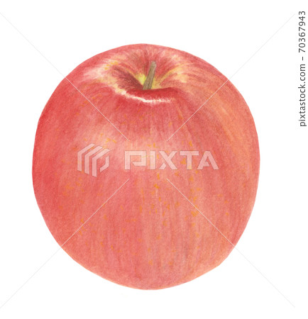 一蘋果紅 70367943