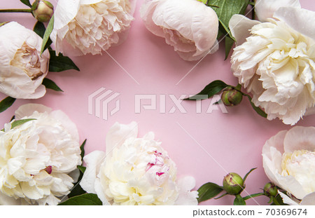 Peony flowers on a pink pastel background 70369674