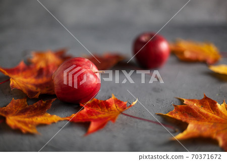 Autumn marple leaves and Ripe garden red apples Autumn marple leaves and Ripe garden red apples 70371672