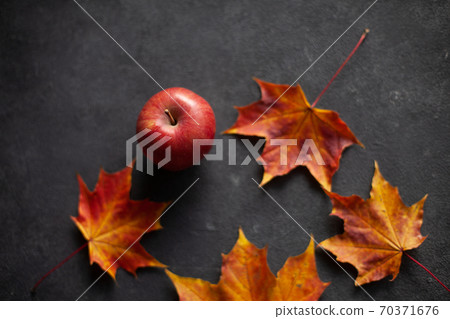 Autumn marple leaves and Ripe garden red apples Autumn marple leaves and Ripe garden red apples 70371676