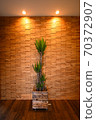 Wood tiles and yucca 70372907