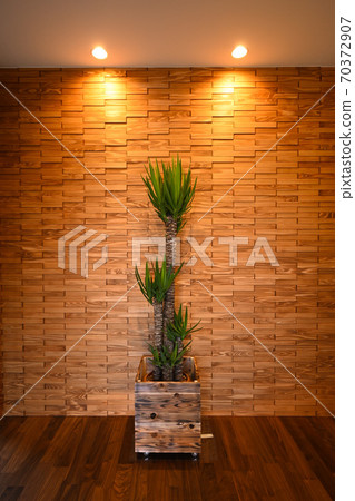 木瓦和Yukka 70372907