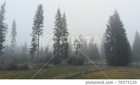 Sad nature landscape in fog. Sad nature landscape in fog. 70373120