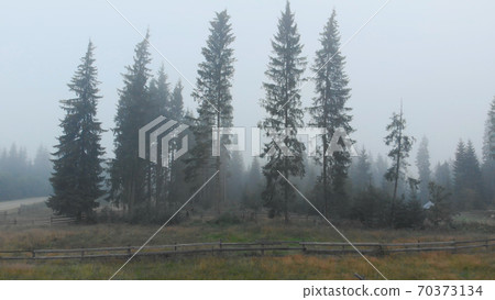 Autumn landscape with trees in thick fog. Autumn landscape with trees in thick fog. 70373134