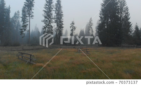 Empty fenced animal field. Empty fenced animal field. 70373137