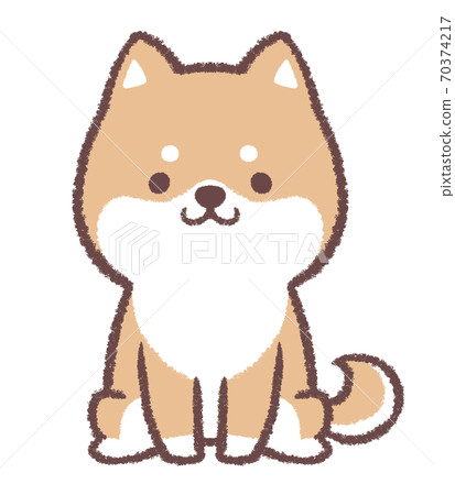 柴犬坐 柴犬坐 70374217