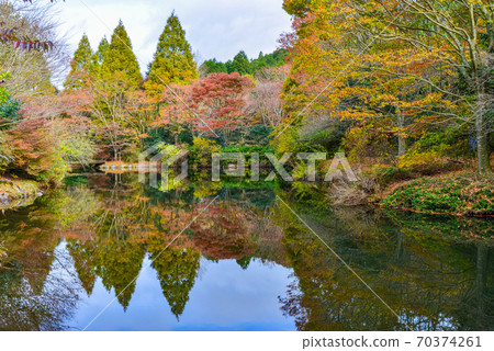 靜岡縣加南鎮野生森林公園秋葉 70374261