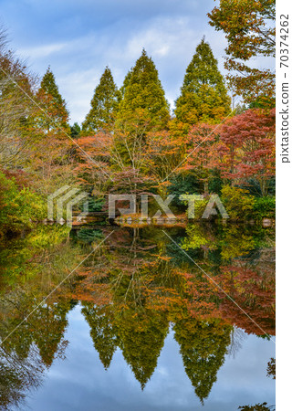 靜岡縣加南鎮野生森林公園秋葉 70374262