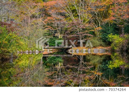 Kannami Town, Shizuoka Prefecture, Genseinomori Park, Autumn Leaves 70374264