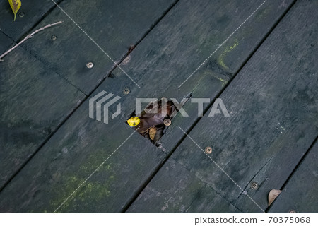 Wood deck corroded by moss 70375068